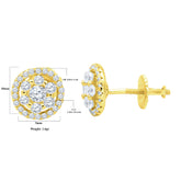Adulatio Silver Earrings